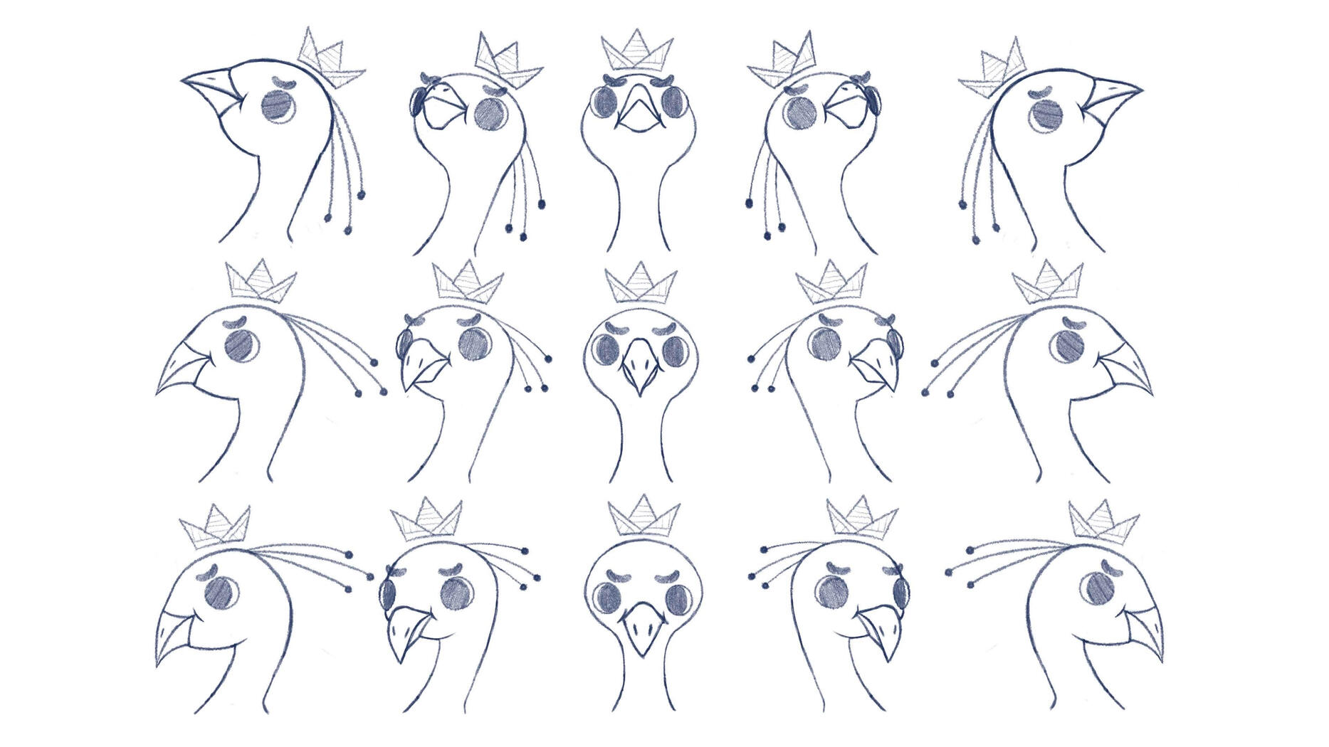Flavius Pavo - Head Grid